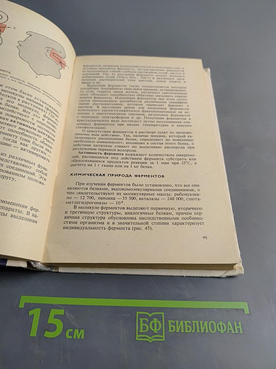 Биологическая химия