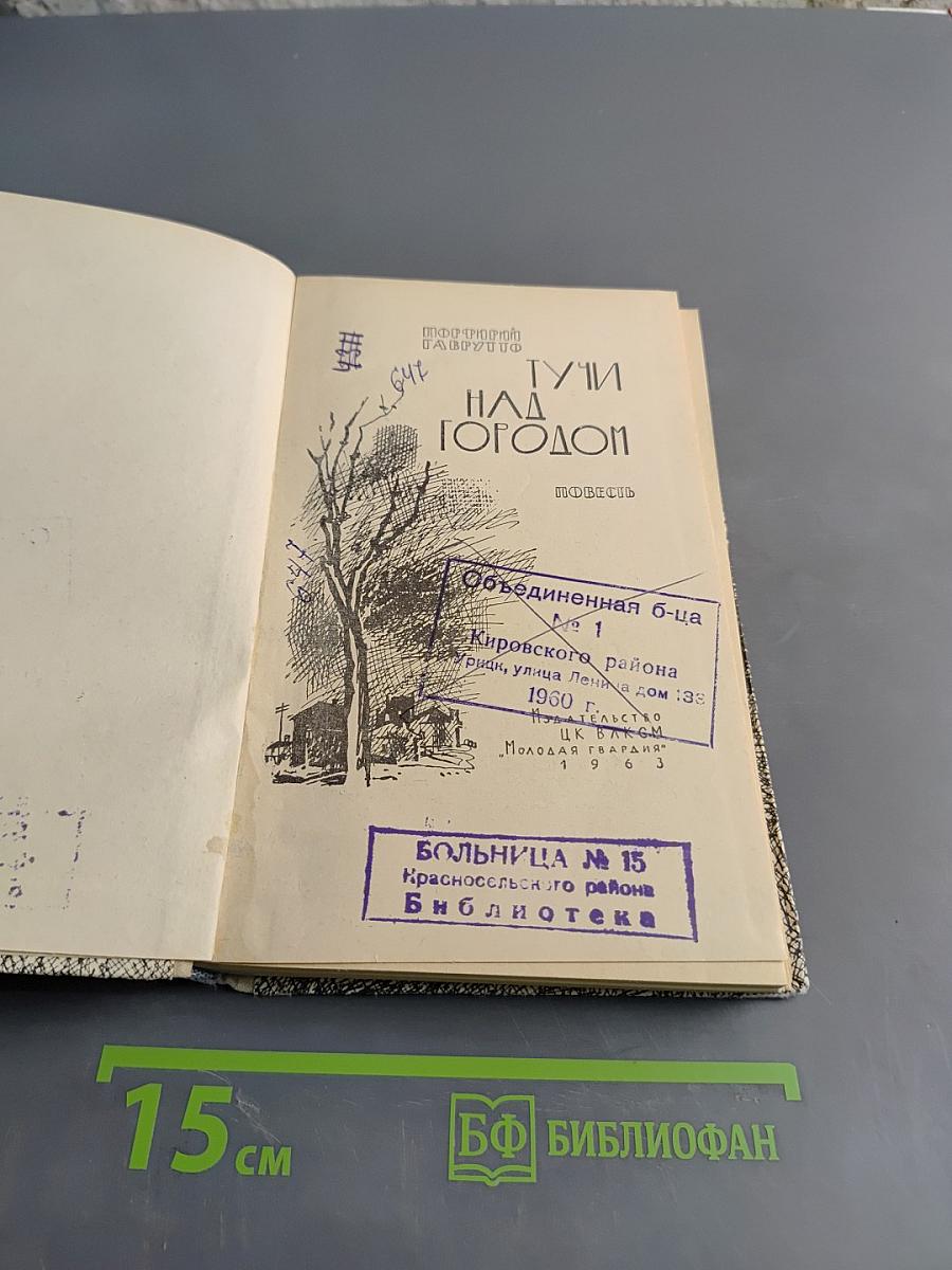 Гуси над городом