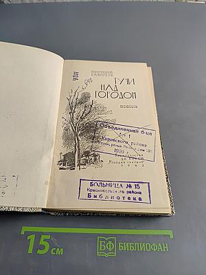 Гуси над городом