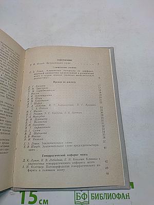 Дифференциальный диагноз характера инсульта в остром периоде