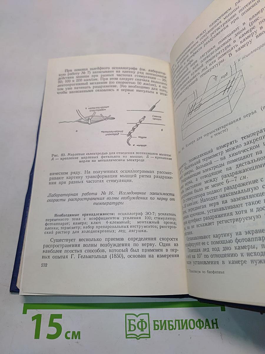 Практикум по общей биофизике. Выпуск III-IV. Исследования биоэлектрических явлений в тканях и клетках