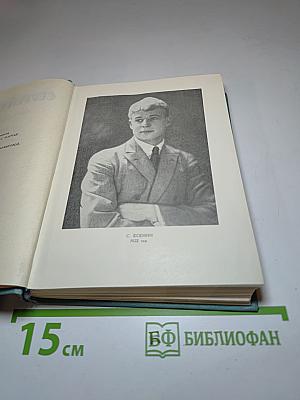 Собрание сочинений. Том второй. Стихотворения (Октябрь 1917-1920)