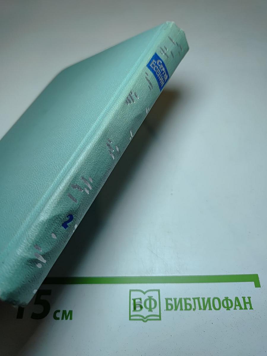 Собрание сочинений. Том второй. Стихотворения (Октябрь 1917-1920)