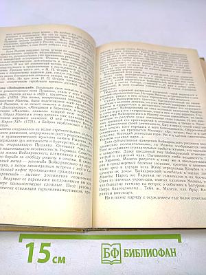 История русской литературы XIX века. Первая половина