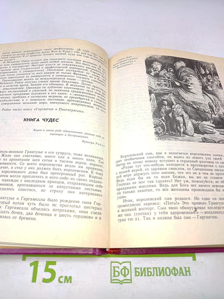 Литература эпохи Возрождения. Книга для учащихся старших классов