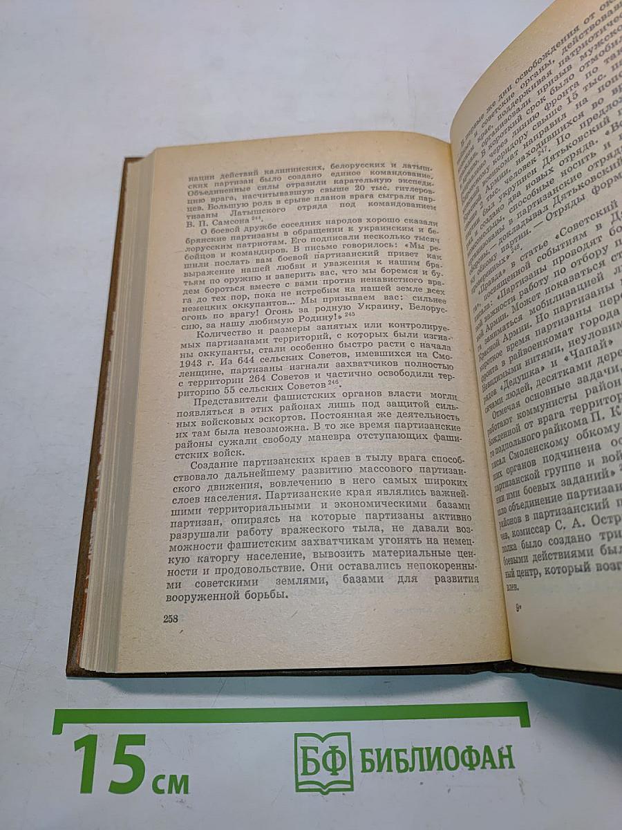 В тылу немецко-фашистских армий «Центр»