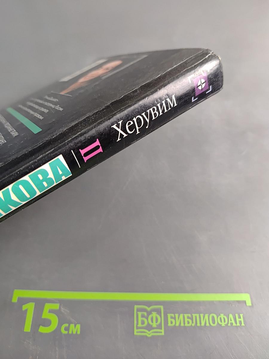 Херувим. Книга 2