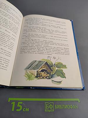 Необыкновенная ромашка