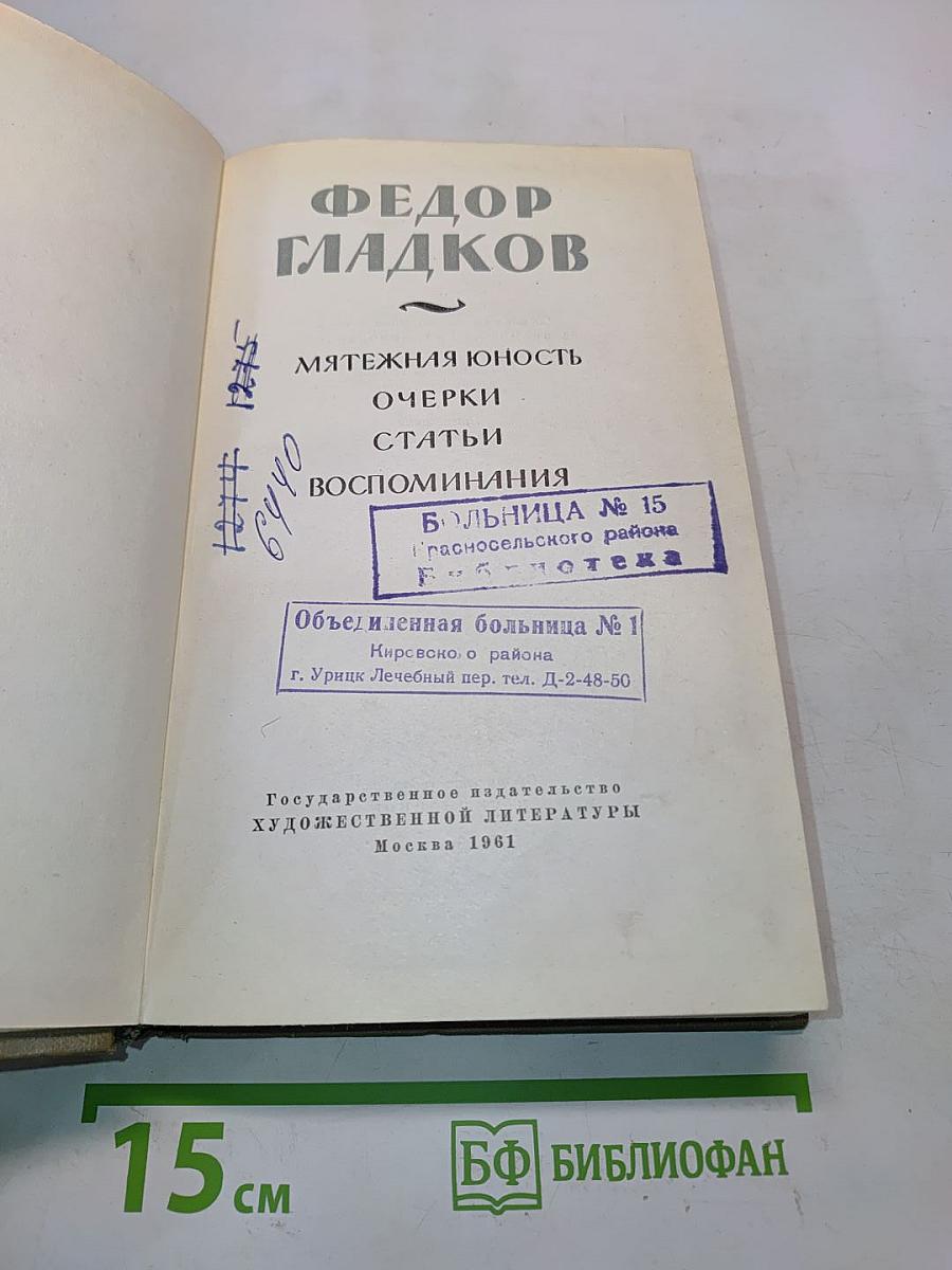 Мятежная юность. Очерки, статьи, воспоминания
