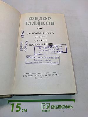 Мятежная юность. Очерки, статьи, воспоминания