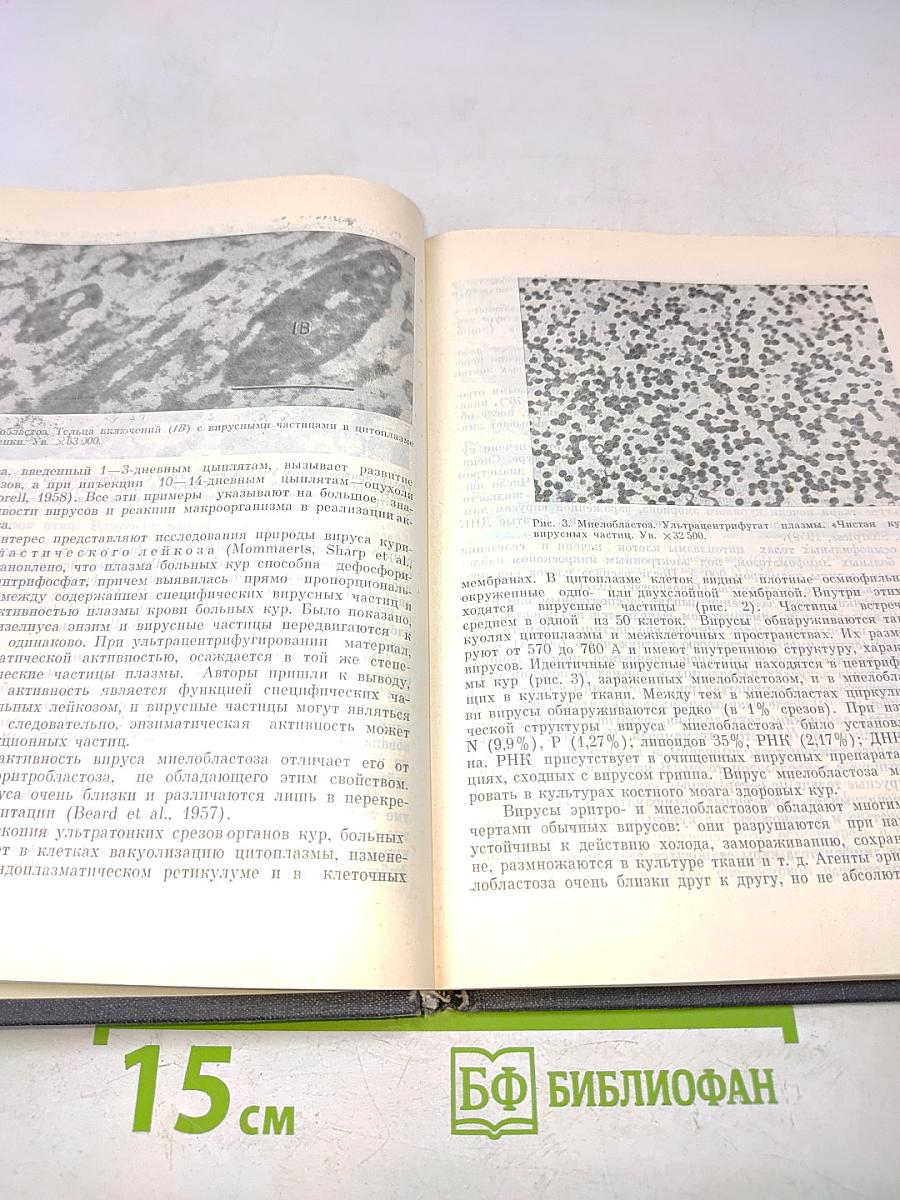 Проблема лейкоза