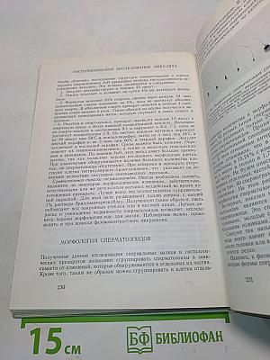 Бесплодие в семье