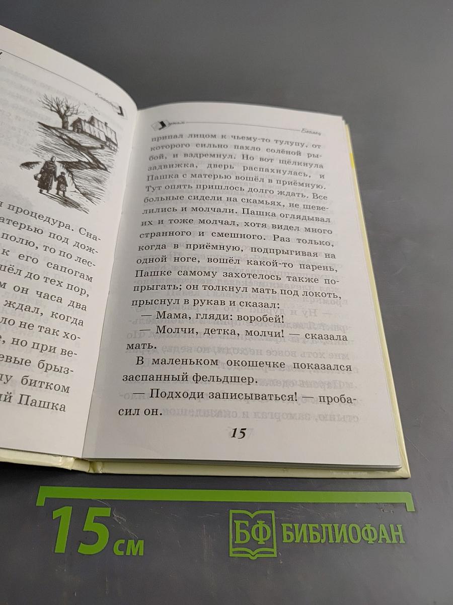 Рассказы. Школьная программа и внеклассное чтение