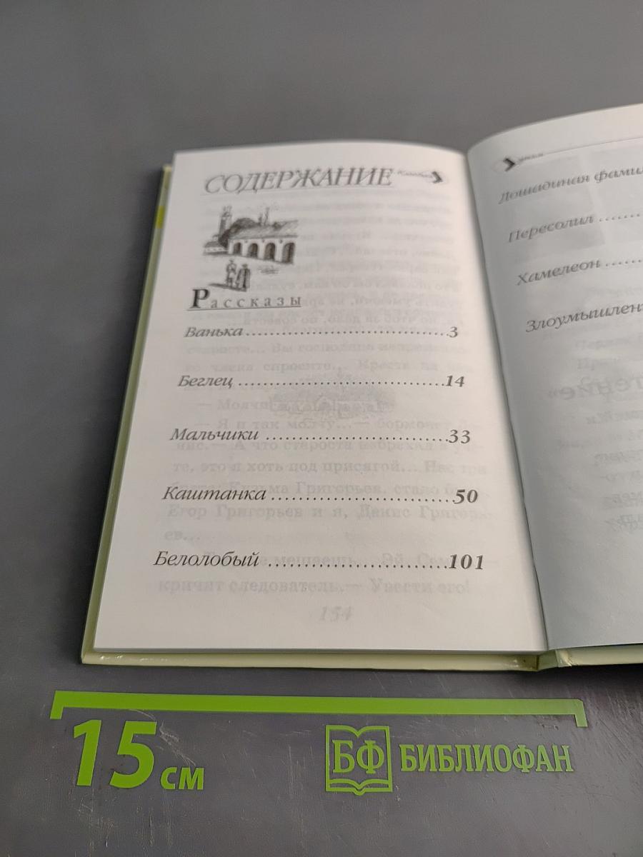 Рассказы. Школьная программа и внеклассное чтение