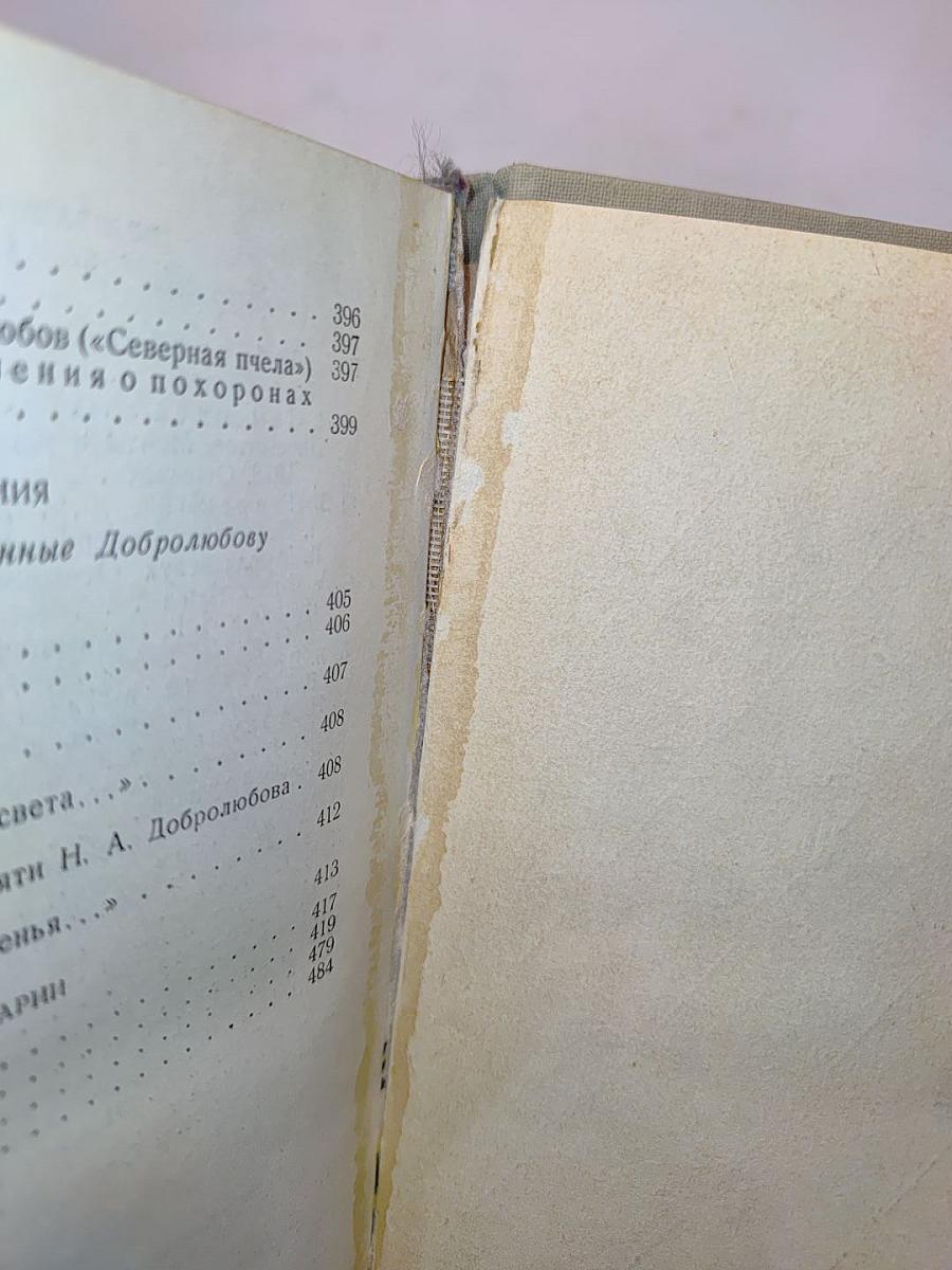 Н. А. Добролюбов в воспоминаниях современников