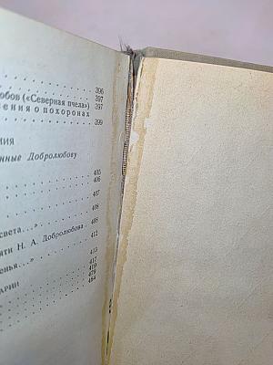 Н. А. Добролюбов в воспоминаниях современников