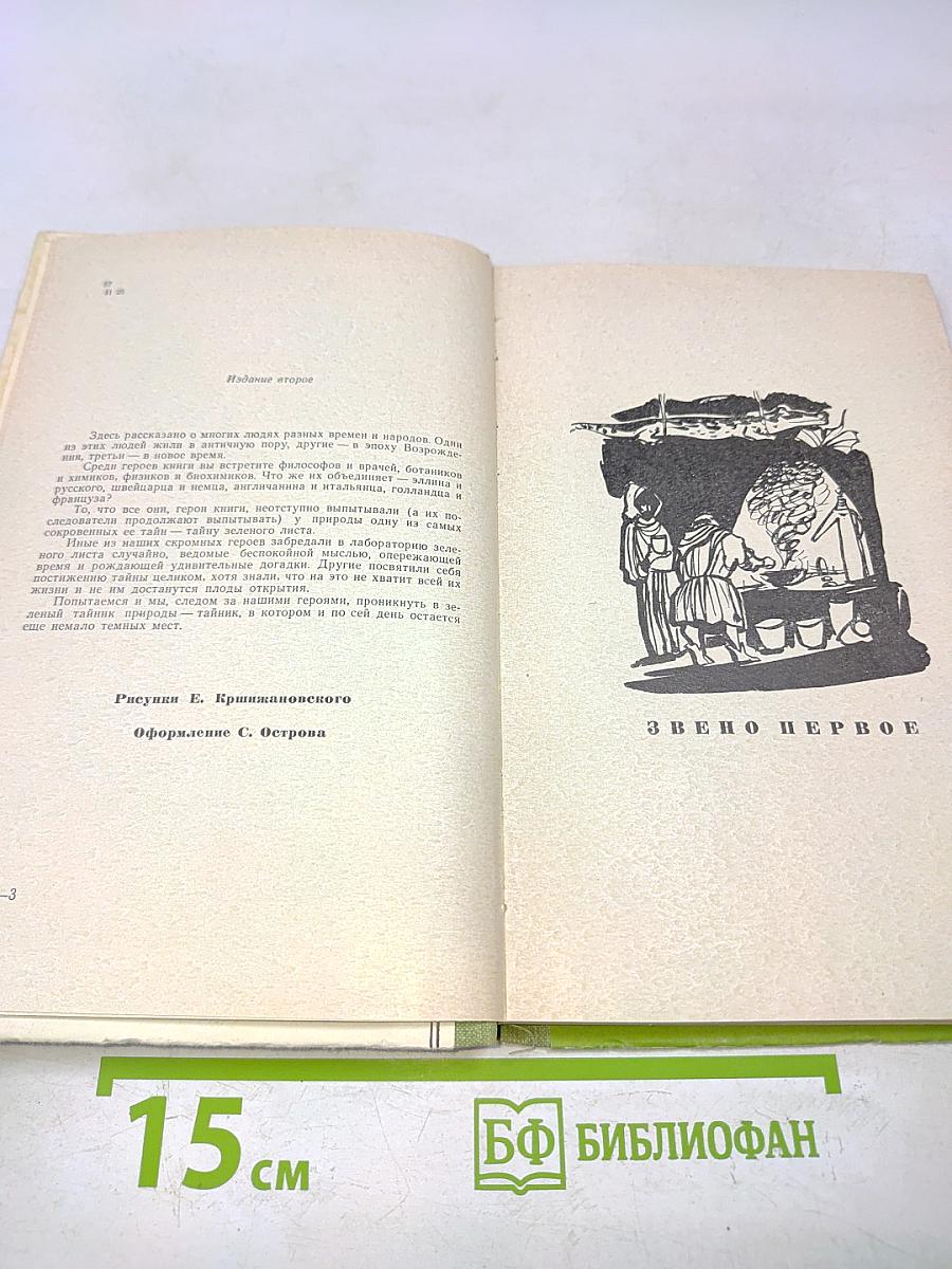 У порога великой тайны