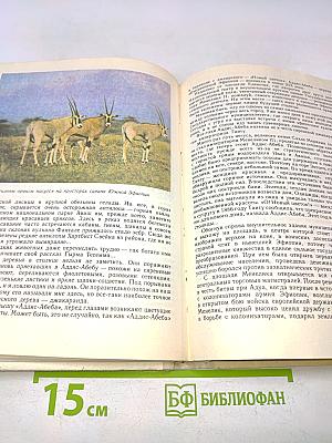 Согретые солнцем. Кн. для учащихся