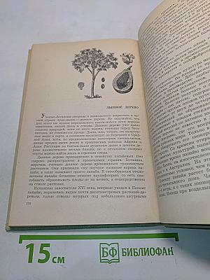 Книга о деревьях