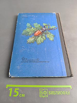 В мире насекомых