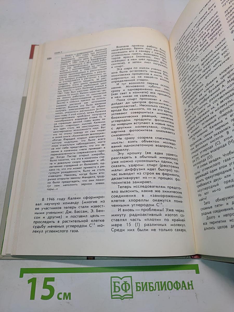 Стеклянные листья