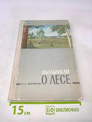 Школьник о лесе