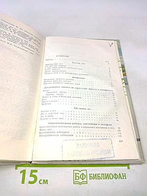 Школьник о лесе