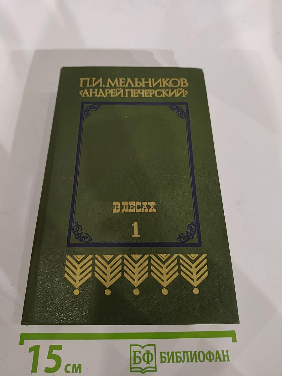 В лесах. Книга первая