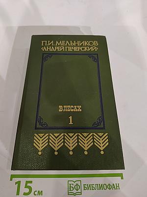 В лесах. Книга первая