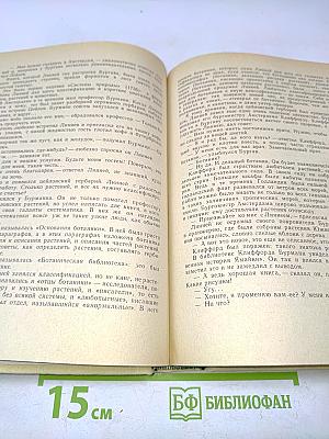 Гомункулус