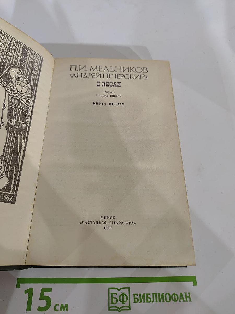 В лесах. Книга первая