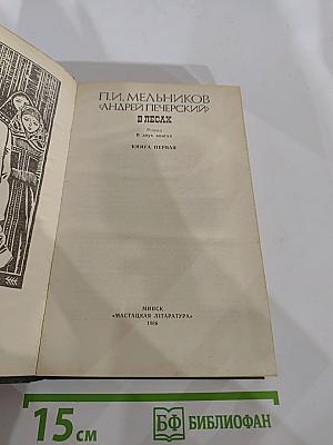 В лесах. Книга первая