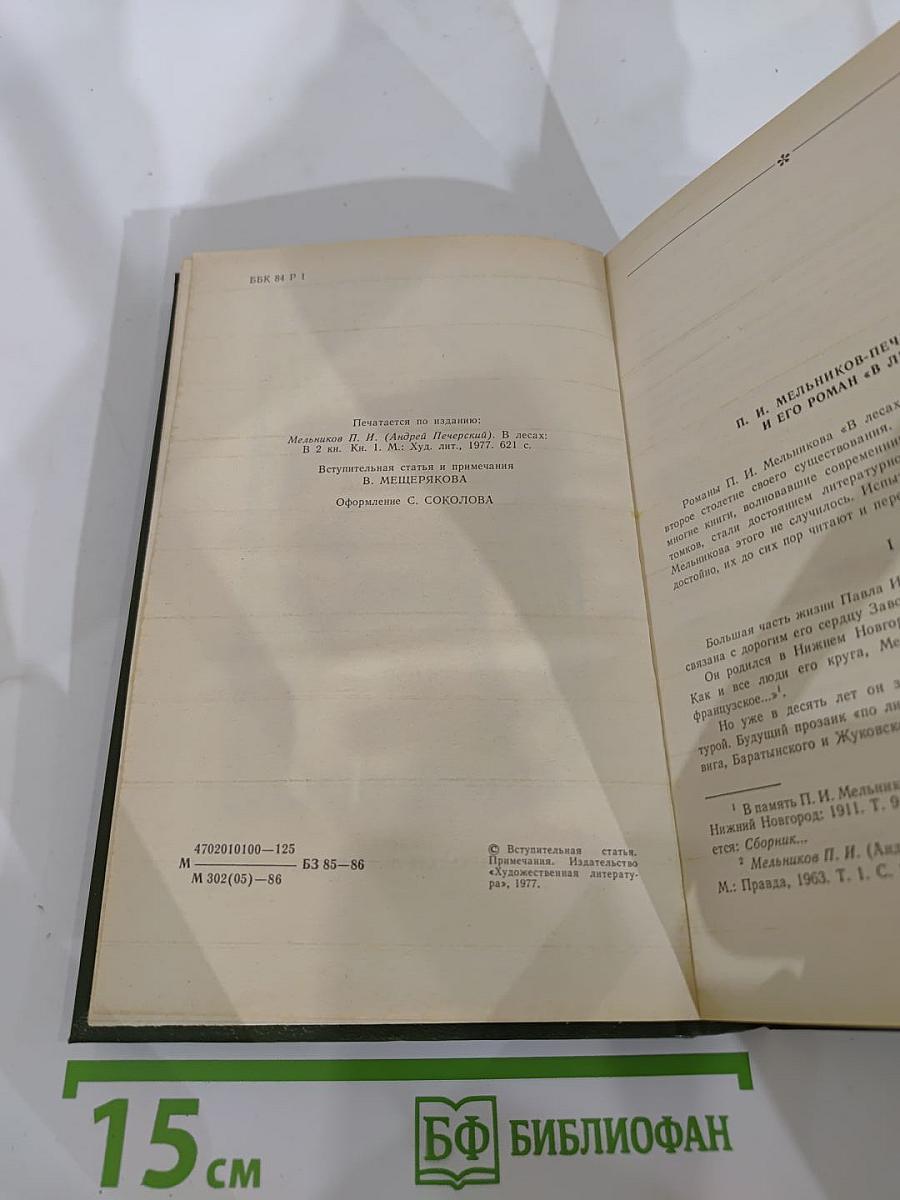 В лесах. Книга первая