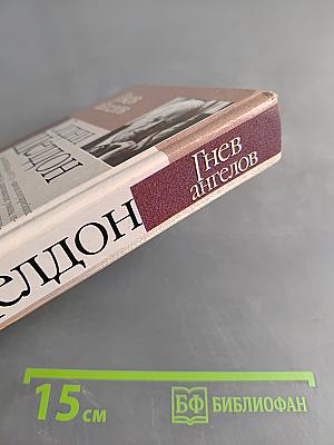 Гнев ангелов
