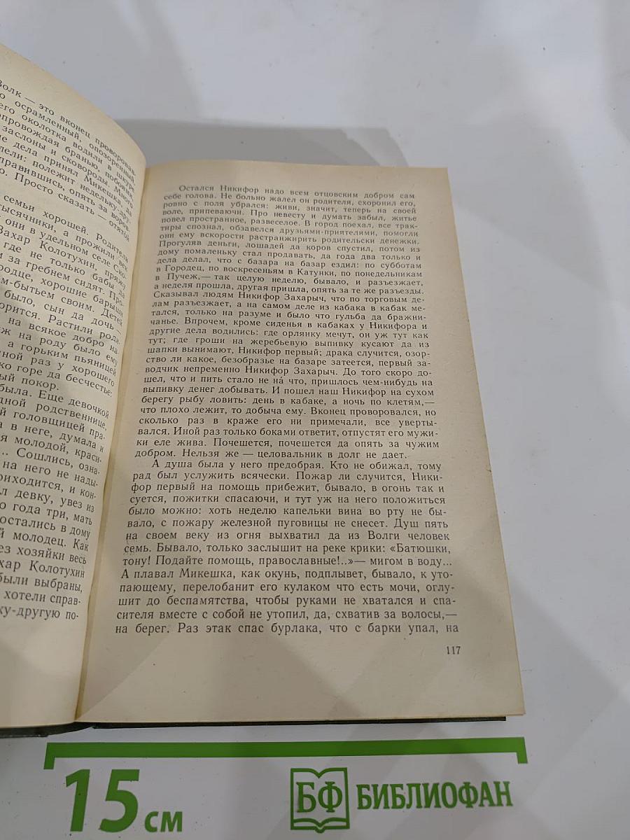 В лесах. Книга первая