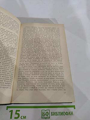 В лесах. Книга первая