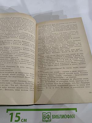 В лесах. Книга первая