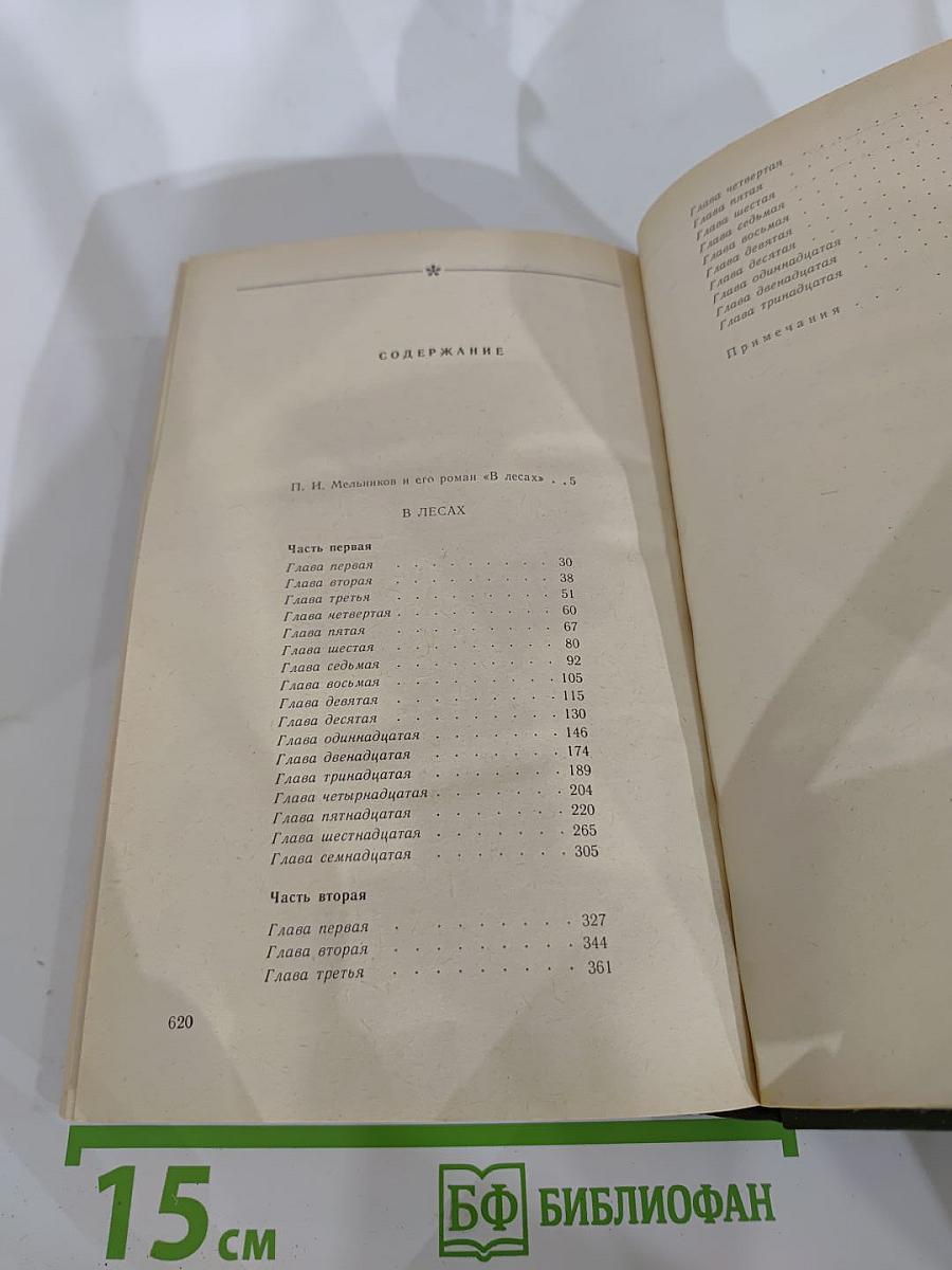 В лесах. Книга первая