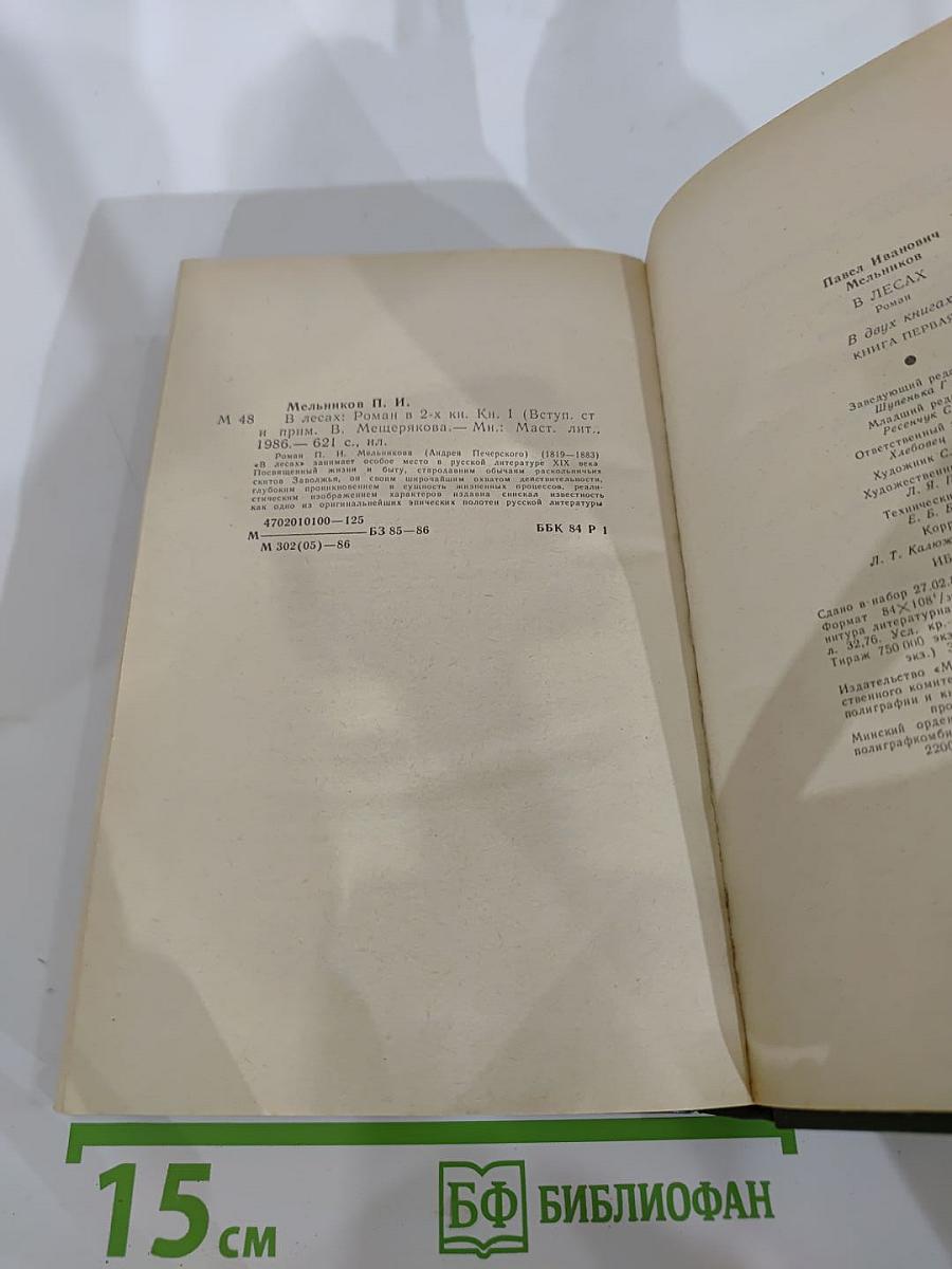 В лесах. Книга первая