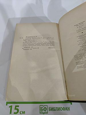 В лесах. Книга первая