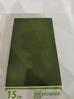 В лесах. Книга первая
