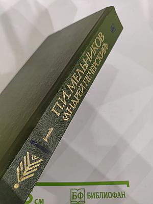 В лесах. Книга первая