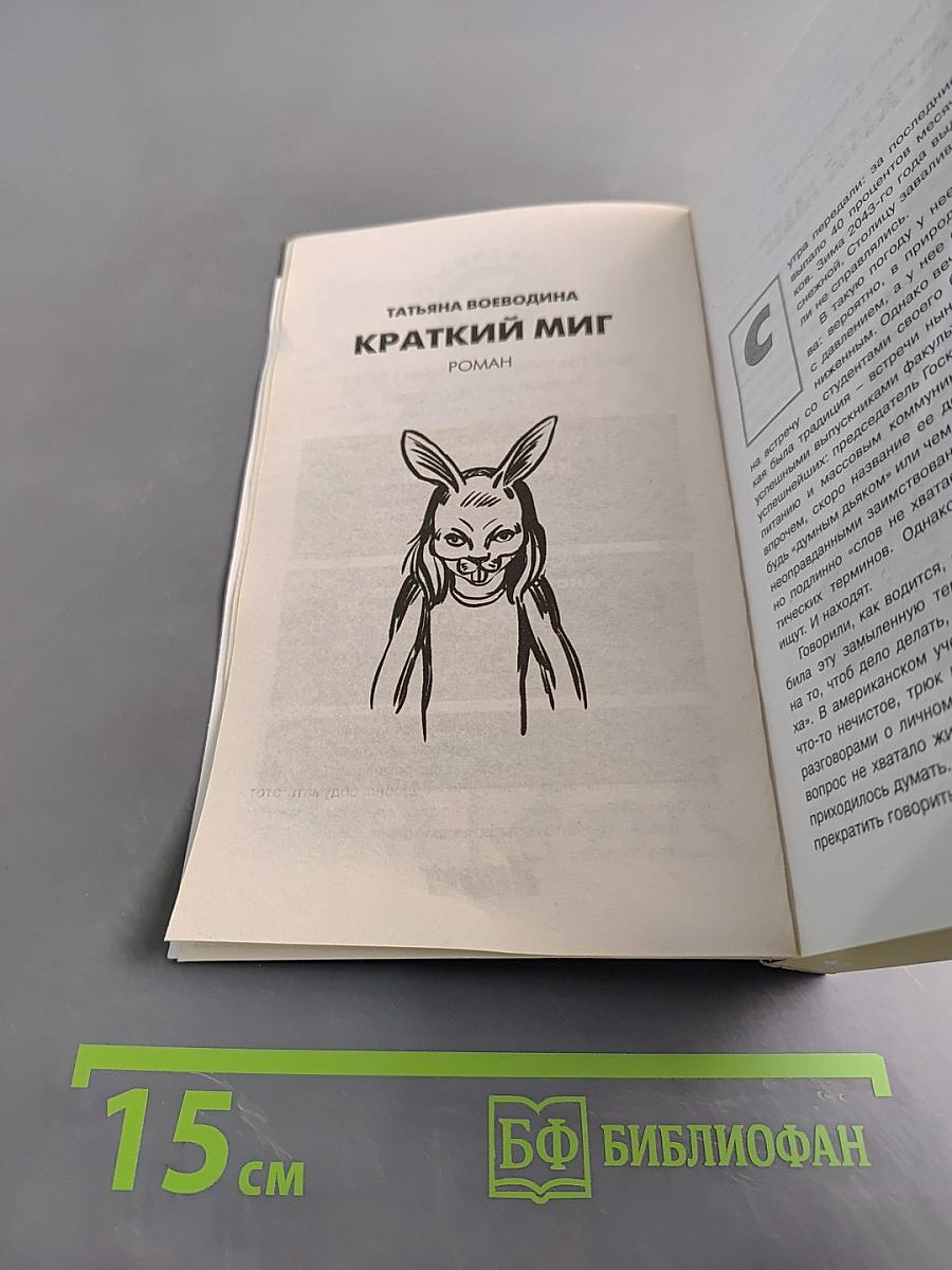 Краткий миг