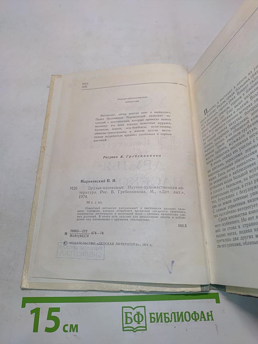 Друзья-насекомые