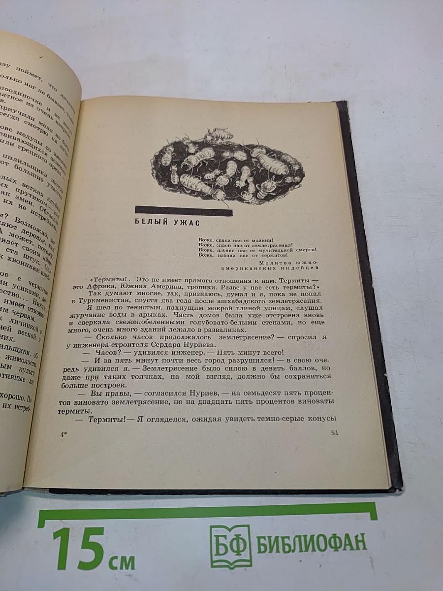 Что такое асфалафус?