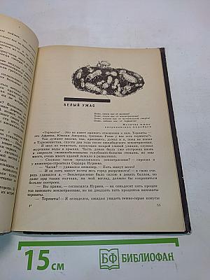 Что такое асфалафус?