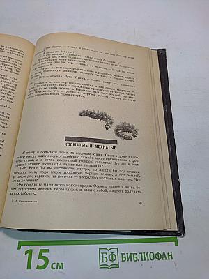 Что такое асфалафус?