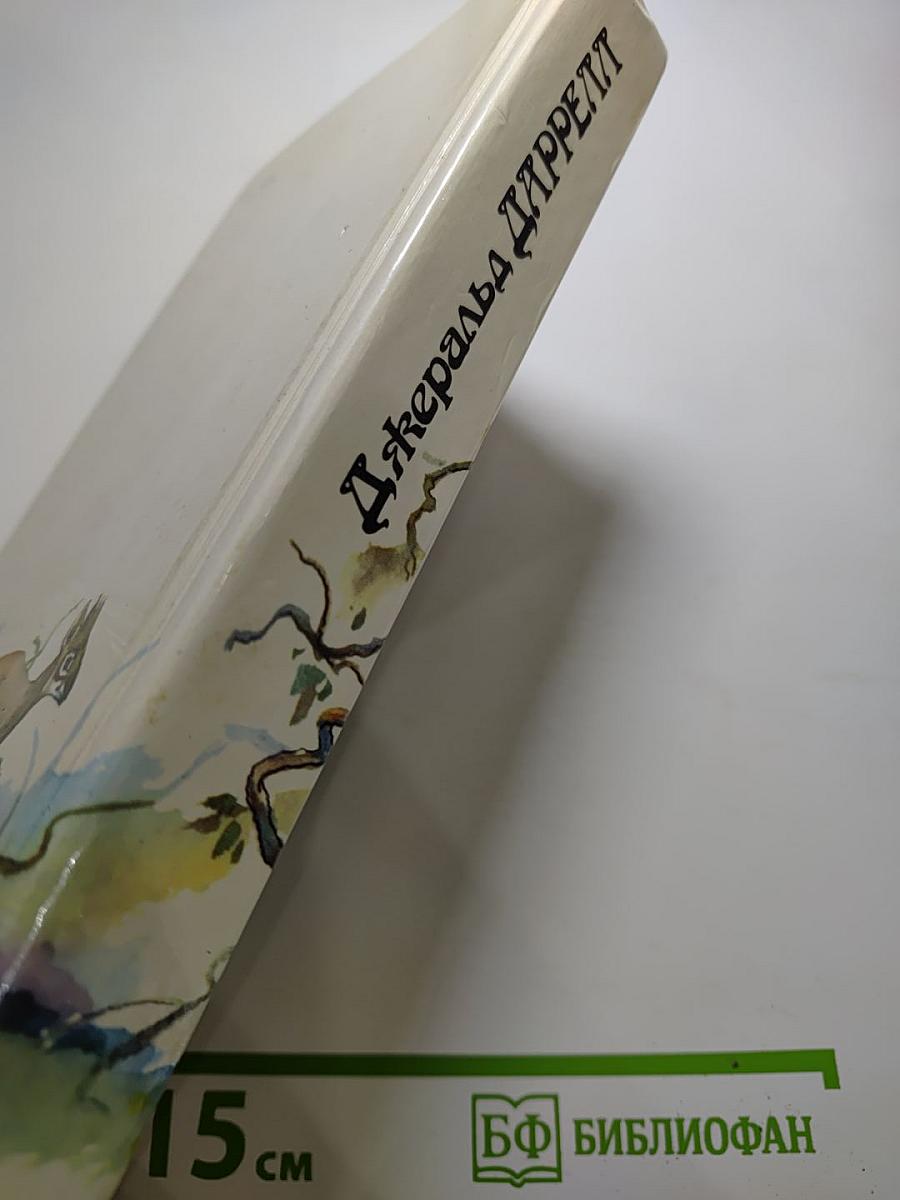 Под пологом пьяного леса