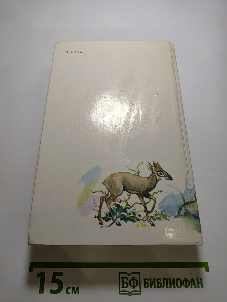 Под пологом пьяного леса