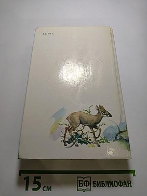 Под пологом пьяного леса